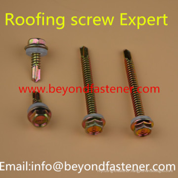 Fastener Roofing Screw